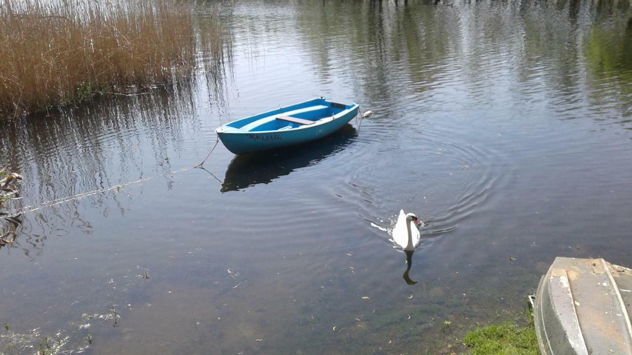 Una Finestra Sul Lago..Appartamento Verbania Eksteriør billede
